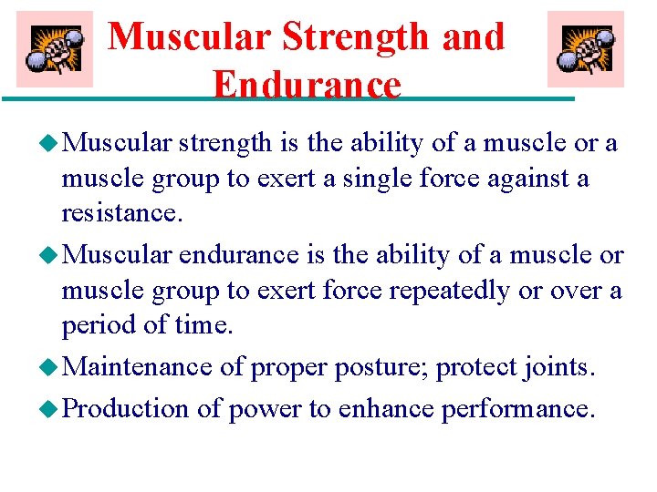 Muscular Strength and Endurance u Muscular strength is the ability of a muscle or