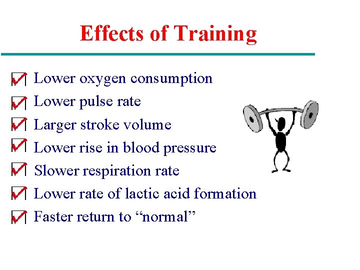 Effects of Training Lower oxygen consumption Lower pulse rate Larger stroke volume Lower rise