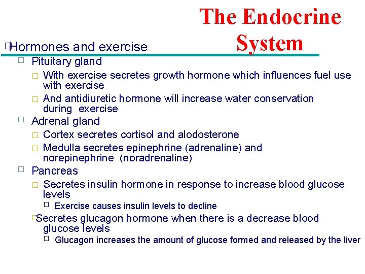 �Hormones � � � and exercise The Endocrine System Pituitary gland � With exercise