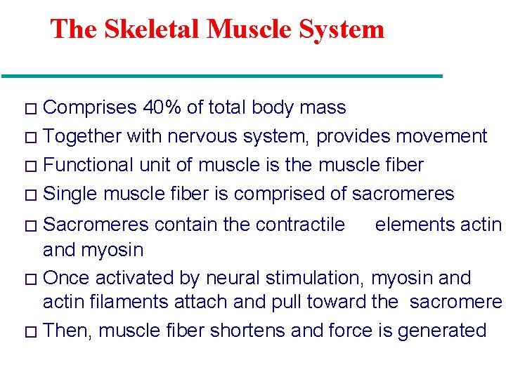 The Skeletal Muscle System Comprises 40% of total body mass � Together with nervous