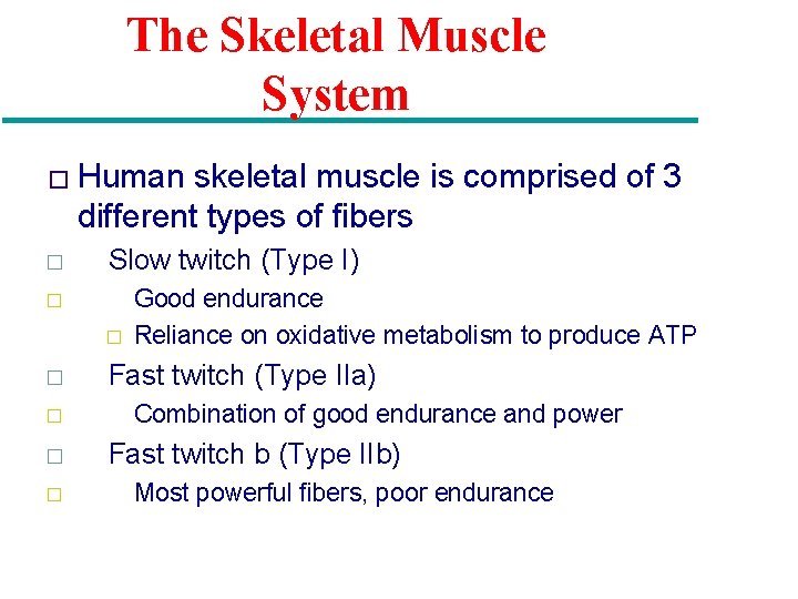 The Skeletal Muscle System � Human skeletal muscle is comprised of 3 different types