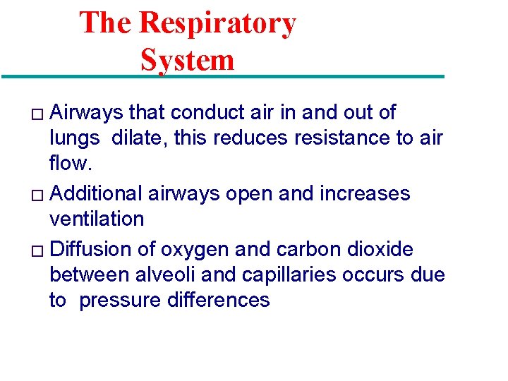 The Respiratory System � Airways that conduct air in and out of lungs dilate,