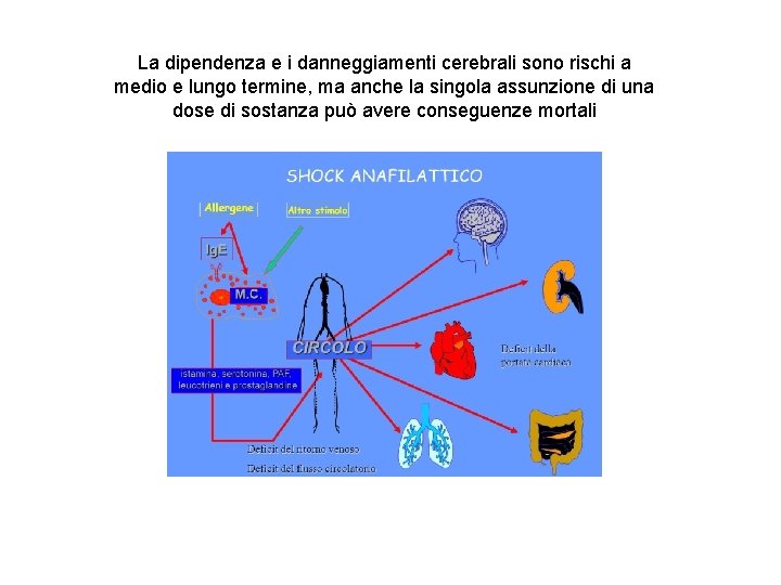 La dipendenza e i danneggiamenti cerebrali sono rischi a medio e lungo termine, ma