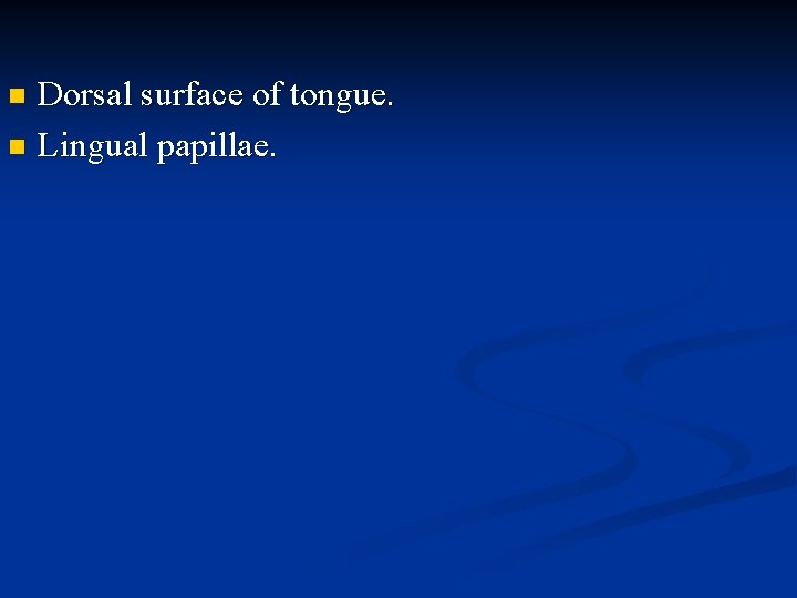 Dorsal surface of tongue. Lingual papillae. 