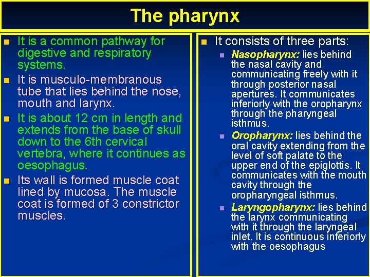 The pharynx It is a common pathway for digestive and respiratory systems. It is