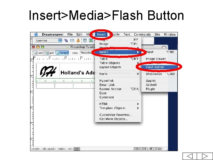 Insert>Media>Flash Button 