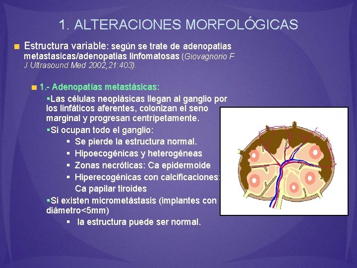 1. ALTERACIONES MORFOLÓGICAS Estructura variable: según se trate de adenopatias metastasicas/adenopatias linfomatosas (Giovagnorio F