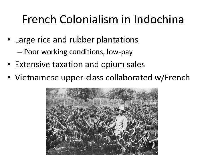 French Colonialism in Indochina • Large rice and rubber plantations – Poor working conditions, French Colonialism in Indochina • Large rice and rubber plantations – Poor working conditions,
