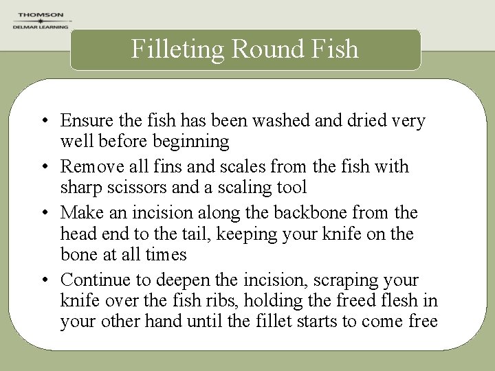 Filleting Round Fish • Ensure the fish has been washed and dried very well