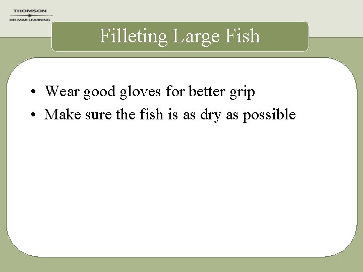 Filleting Large Fish • Wear good gloves for better grip • Make sure the