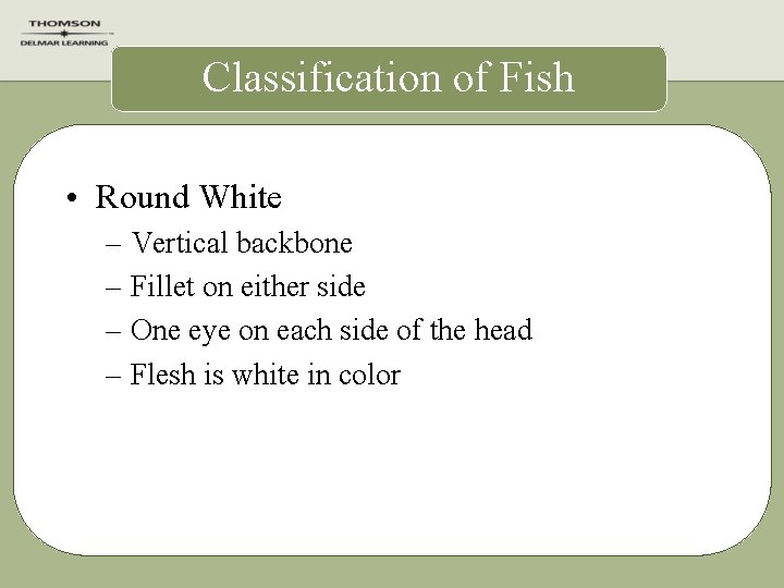 Classification of Fish • Round White – Vertical backbone – Fillet on either side