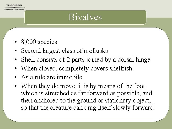 Bivalves • • • 8, 000 species Second largest class of mollusks Shell consists