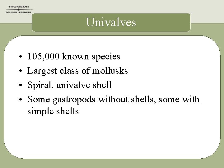 Univalves • • 105, 000 known species Largest class of mollusks Spiral, univalve shell