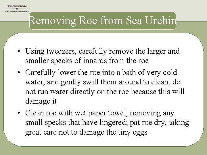 Removing Roe from Sea Urchin • Using tweezers, carefully remove the larger and smaller