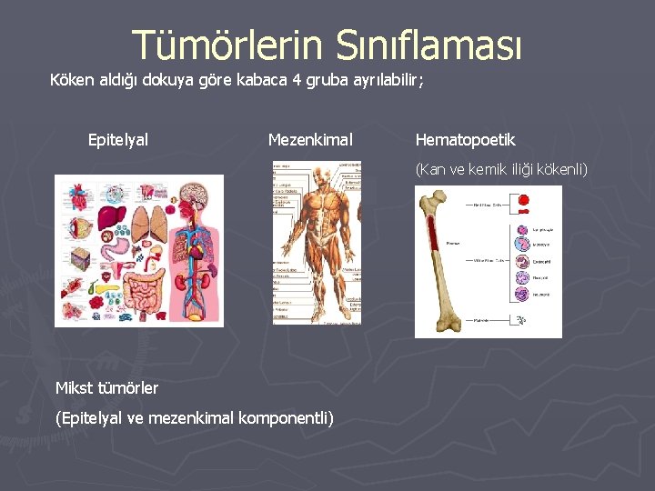 Tümörlerin Sınıflaması Köken aldığı dokuya göre kabaca 4 gruba ayrılabilir; Epitelyal Mezenkimal Hematopoetik (Kan