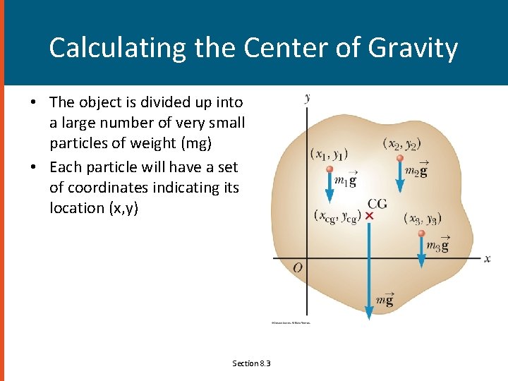 Calculating the Center of Gravity • The object is divided up into a large