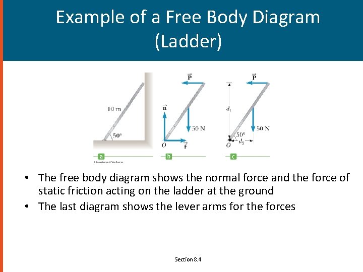 Example of a Free Body Diagram (Ladder) • The free body diagram shows the