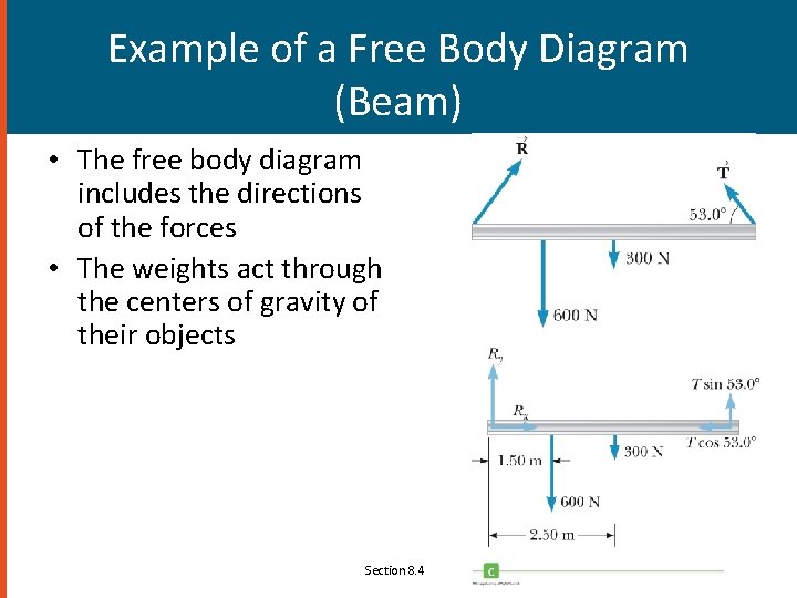 Example of a Free Body Diagram (Beam) • The free body diagram includes the