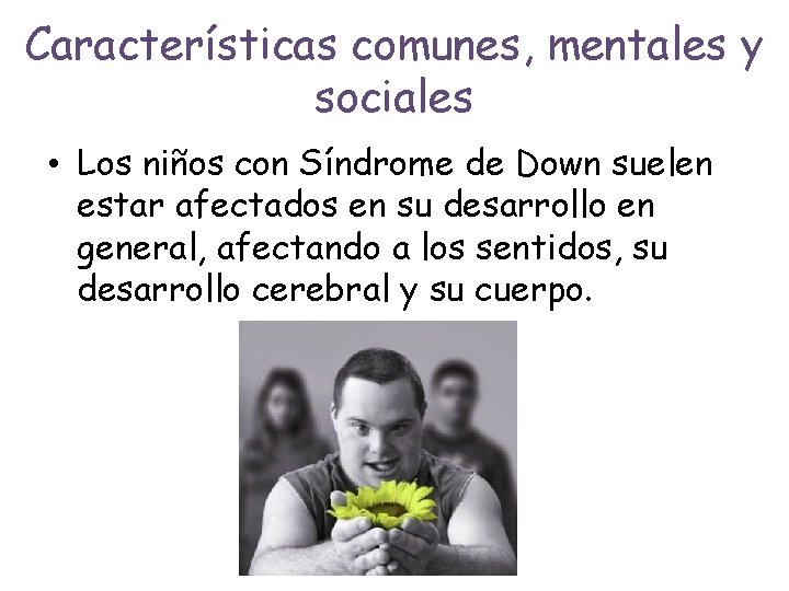 Características comunes, mentales y sociales • Los niños con Síndrome de Down suelen estar