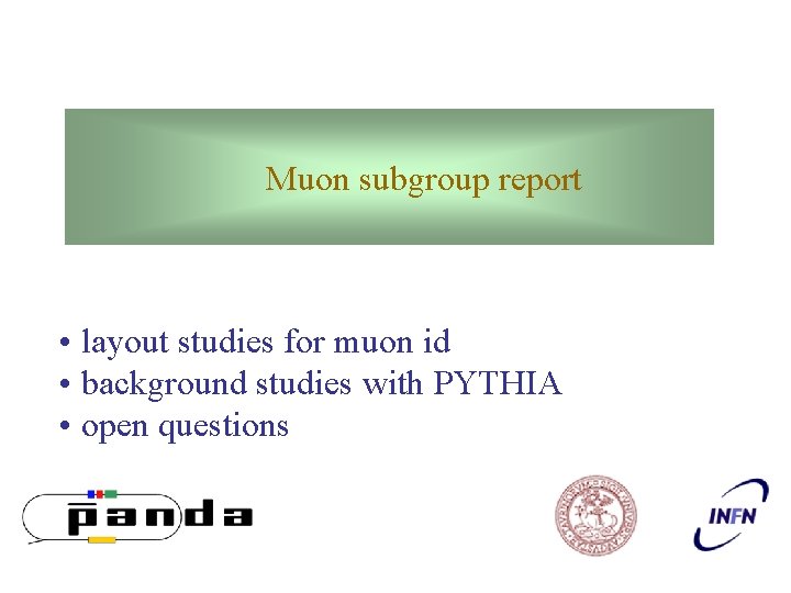 Muon subgroup report • layout studies for muon id • background studies with PYTHIA