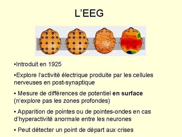 L’EEG • Introduit en 1925 • Explore l’activité électrique produite par les cellules nerveuses