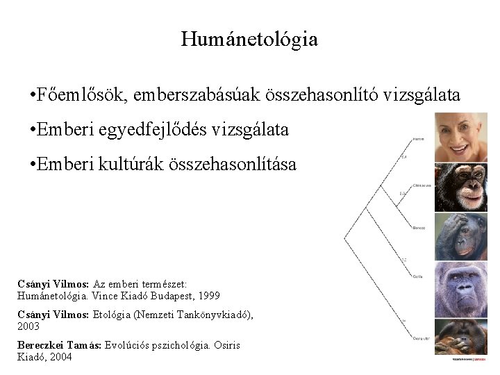 Humánetológia • Főemlősök, emberszabásúak összehasonlító vizsgálata • Emberi egyedfejlődés vizsgálata • Emberi kultúrák összehasonlítása