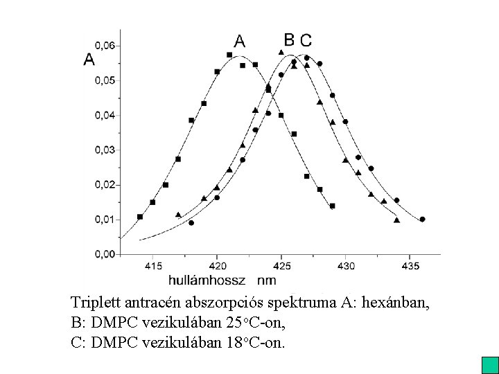 Triplett antracén abszorpciós spektruma A: hexánban, B: DMPC vezikulában 25 o. C-on, C: DMPC