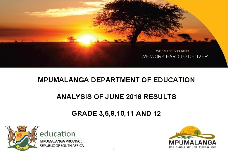 WHEN THE SUN RISES WE WORK HARD TO DELIVER MPUMALANGA DEPARTMENT OF EDUCATION ANALYSIS