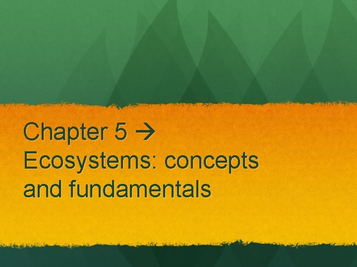 Chapter 5 Ecosystems: concepts and fundamentals 