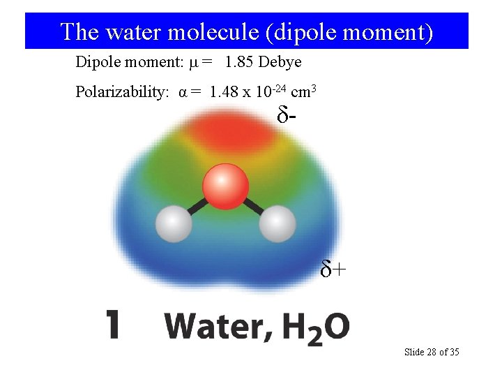 The water molecule (dipole moment) Dipole moment: = 1. 85 Debye Polarizability: α =