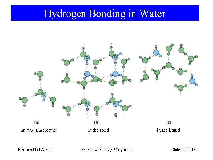 Hydrogen Bonding in Water around a molecule Prentice-Hall © 2002 in the solid General