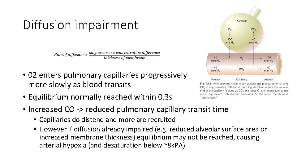 Diffusion impairment • 02 enters pulmonary capillaries progressively more slowly as blood transits •