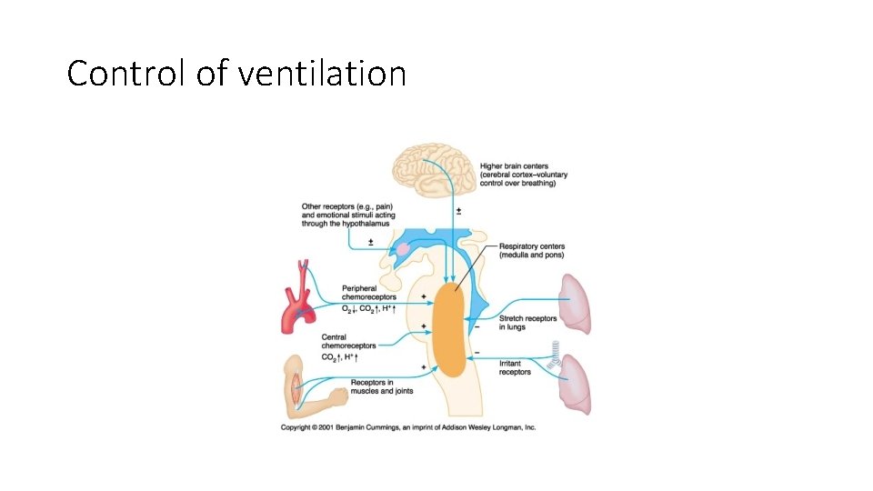 Control of ventilation 
