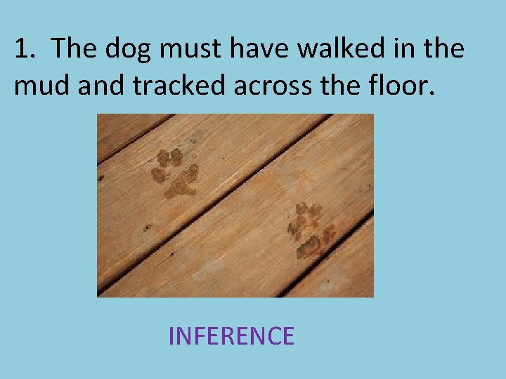 1. The dog must have walked in the mud and tracked across the floor.