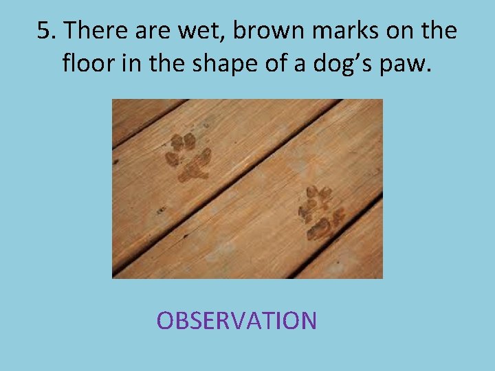 5. There are wet, brown marks on the floor in the shape of a