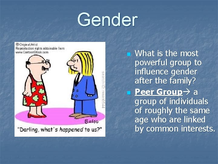 Gender n n What is the most powerful group to influence gender after the