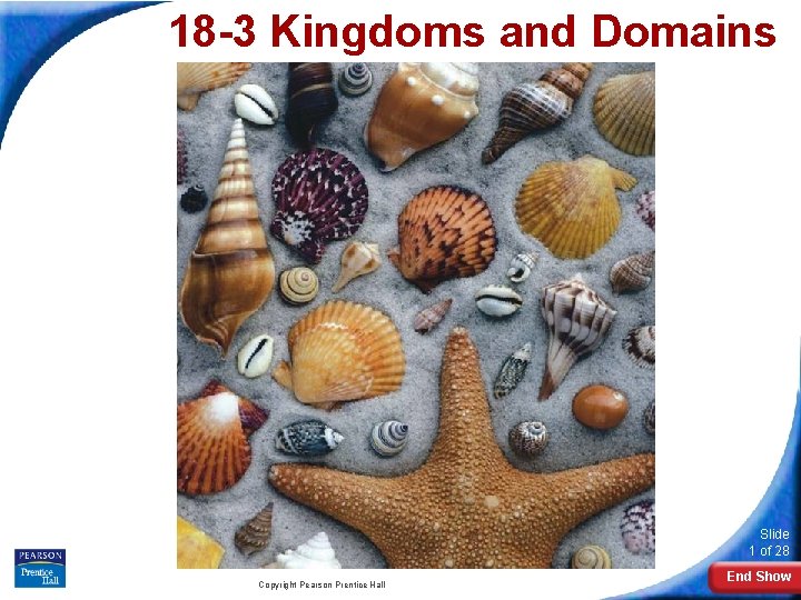18 -3 Kingdoms and Domains Slide 1 of 28 Copyright Pearson Prentice Hall End