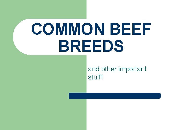 COMMON BEEF BREEDS and other important stuff! 