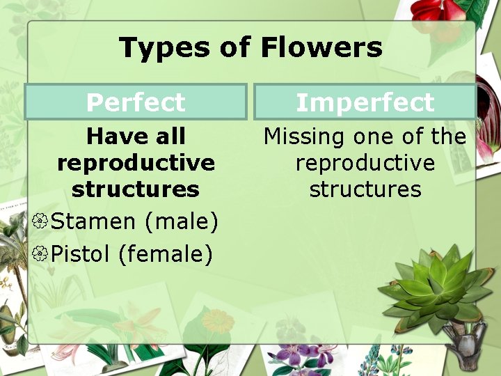 Types of Flowers Perfect Have all reproductive structures Stamen (male) Pistol (female) Imperfect Missing