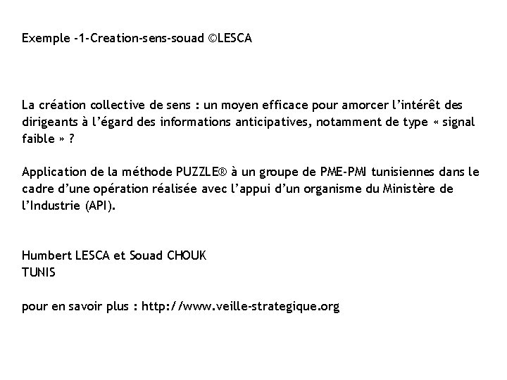 Exemple -1 -Creation-sens-souad ©LESCA La création collective de sens : un moyen efficace pour