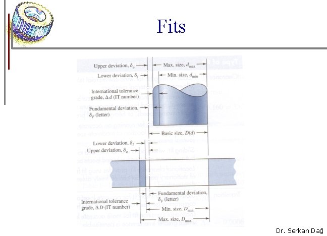 Fits Dr. Serkan Dağ 