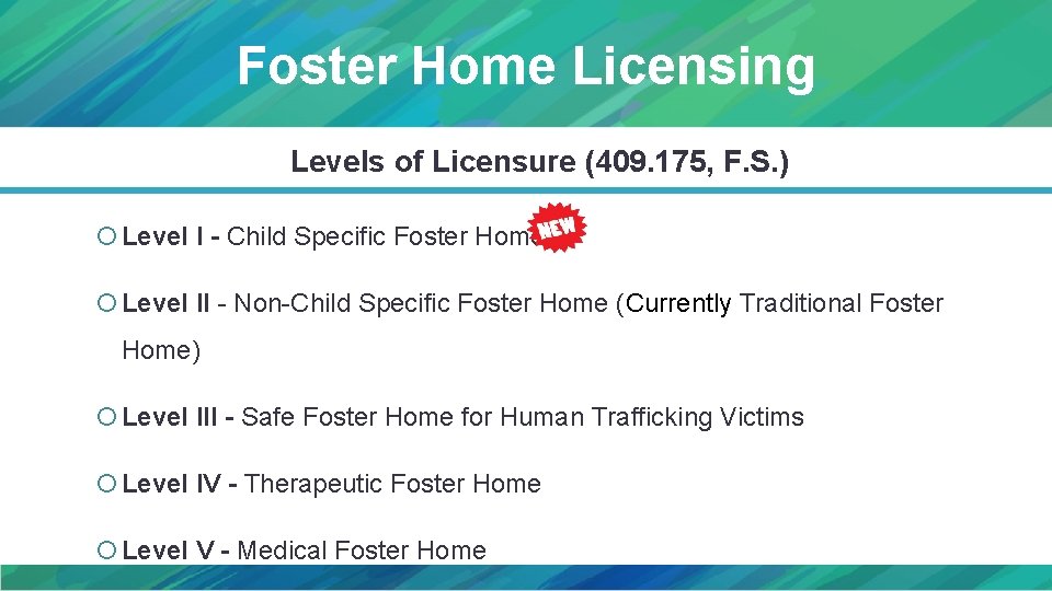 Foster Home Licensing Levels of Licensure (409. 175, F. S. ) Level I -