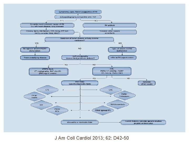 J Am Coll Cardiol 2013; 62: D 42 -50 