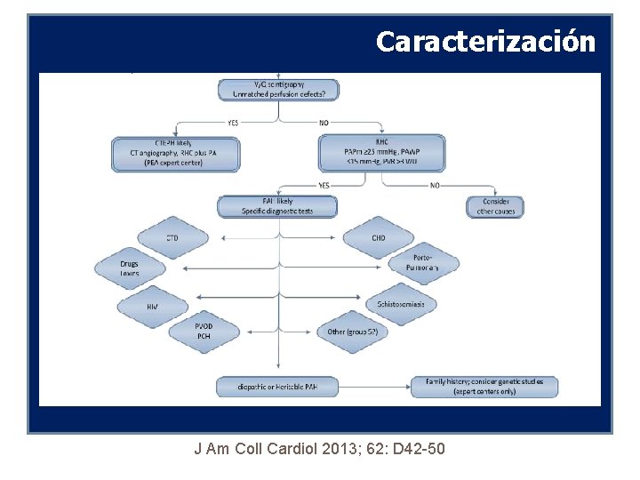 Caracterización Caracterizaci+on J Am Coll Cardiol 2013; 62: D 42 -50 