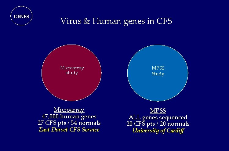 GENES Virus & Human genes in CFS Microarray study Microarray 47, 000 human genes GENES Virus & Human genes in CFS Microarray study Microarray 47, 000 human genes