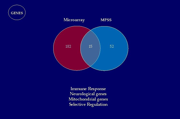 GENES Microarray 182 MPSS 15 Immune Response Neurological genes Mitochondrial genes Selective Regulation 52 GENES Microarray 182 MPSS 15 Immune Response Neurological genes Mitochondrial genes Selective Regulation 52