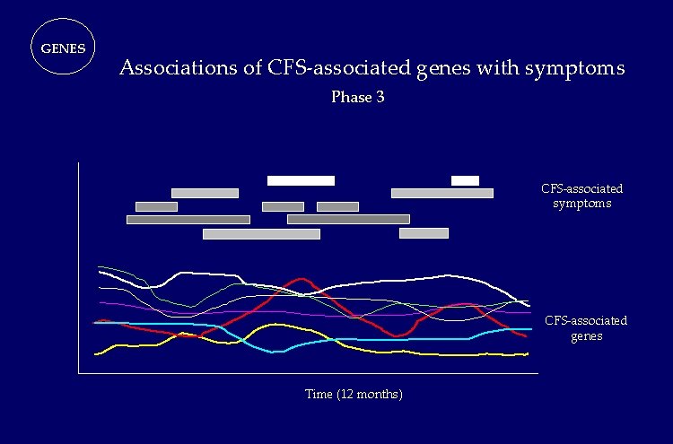 GENES Associations of CFS-associated genes with symptoms Phase 3 CFS-associated symptoms CFS-associated genes Time GENES Associations of CFS-associated genes with symptoms Phase 3 CFS-associated symptoms CFS-associated genes Time