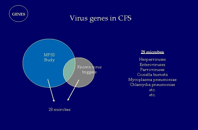 GENES Virus genes in CFS 28 microbes MPSS Study Known virus triggers 28 microbes GENES Virus genes in CFS 28 microbes MPSS Study Known virus triggers 28 microbes