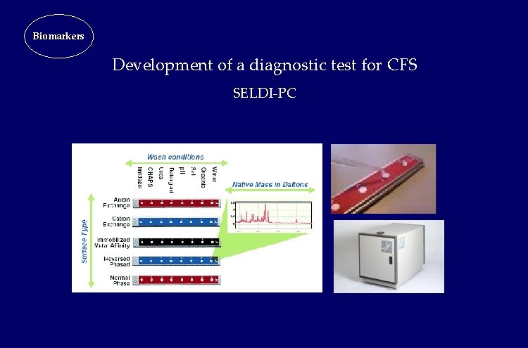 Biomarkers Development of a diagnostic test for CFS SELDI-PC Biomarkers Development of a diagnostic test for CFS SELDI-PC