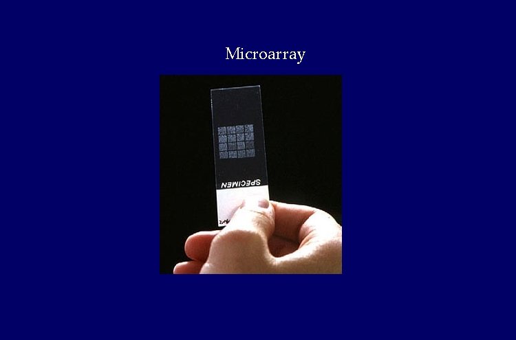 Microarray Microarray